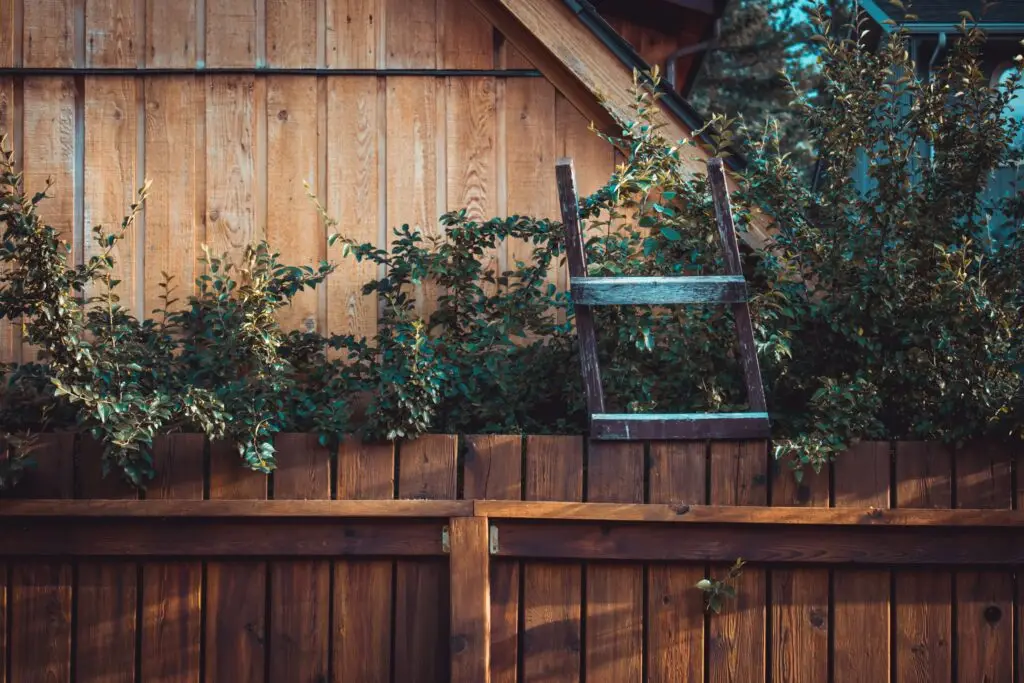 Fence Wooden
